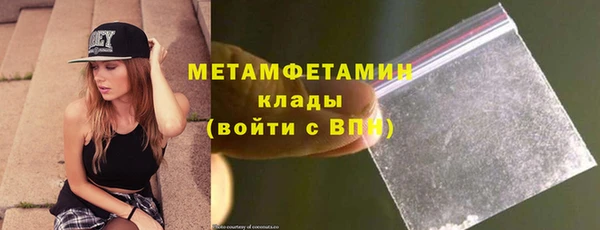 прущие грибы Приозерск
