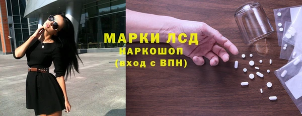 прущие грибы Приозерск